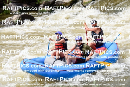 005498_RaftPics_June28_New-Wave_Racecourse_PM_LA__LES5784