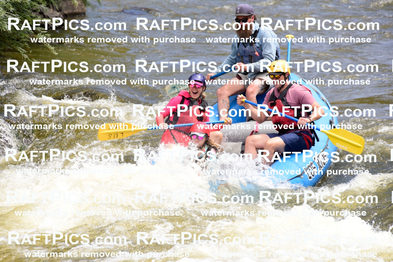 001147-July-3_Los-Rios_RAFT-Pics_Racecourse-AM_LA__LES7216