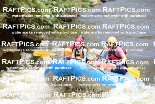 001152-July-3_Los-Rios_RAFT-Pics_Racecourse-AM_LA__LES7221