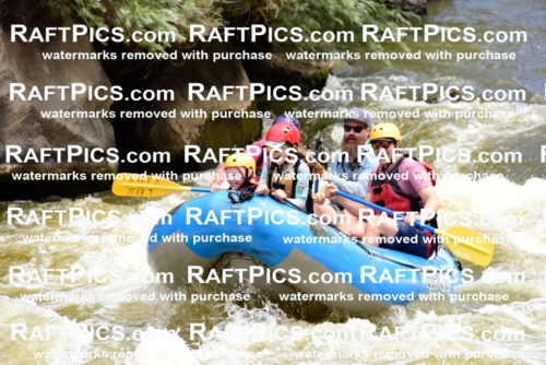 001158-July-3_Los-Rios_RAFT-Pics_Racecourse-AM_LA__LES7227