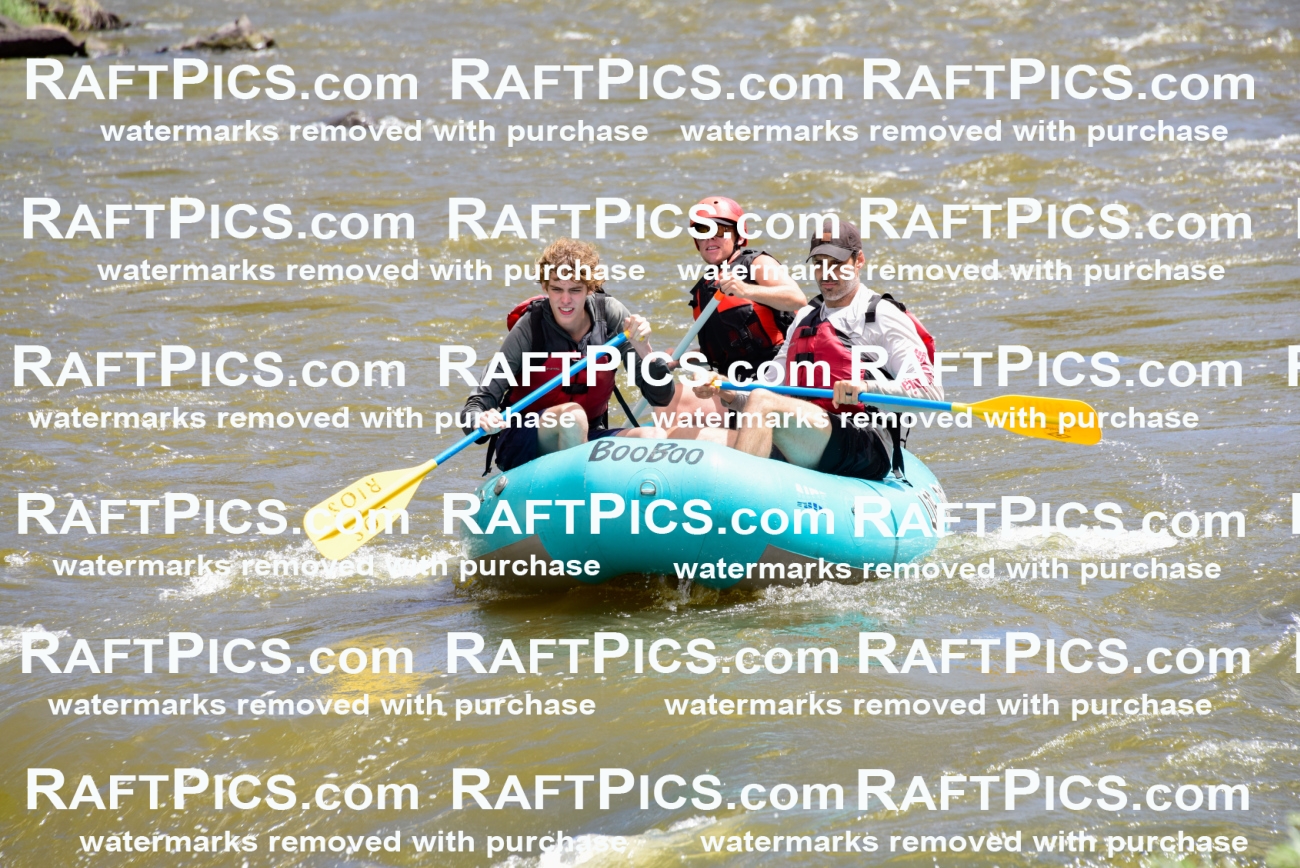 001173-July-3_Los-Rios_RAFT-Pics_Racecourse-AM_LA_Blair_LES7148