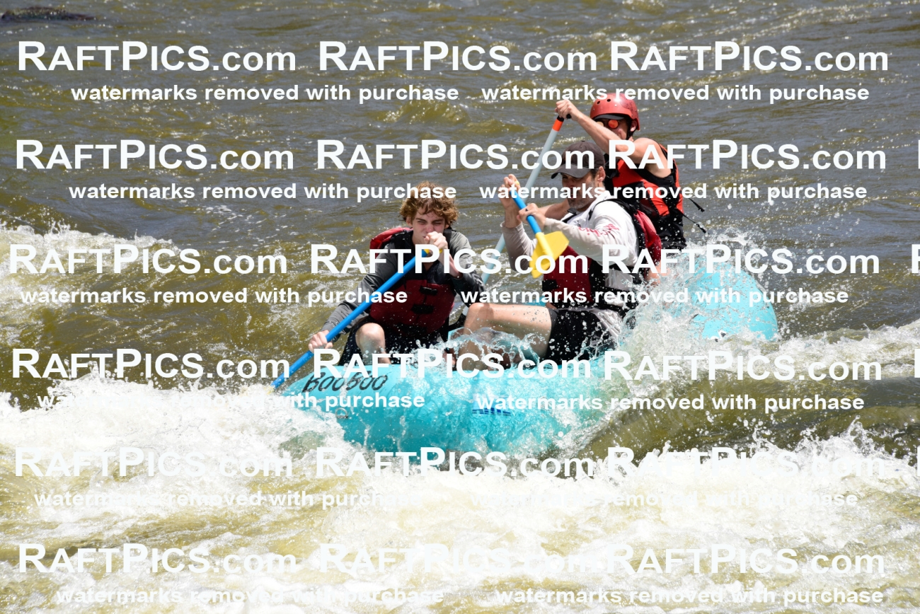 001176-July-3_Los-Rios_RAFT-Pics_Racecourse-AM_LA_Blair_LES7151