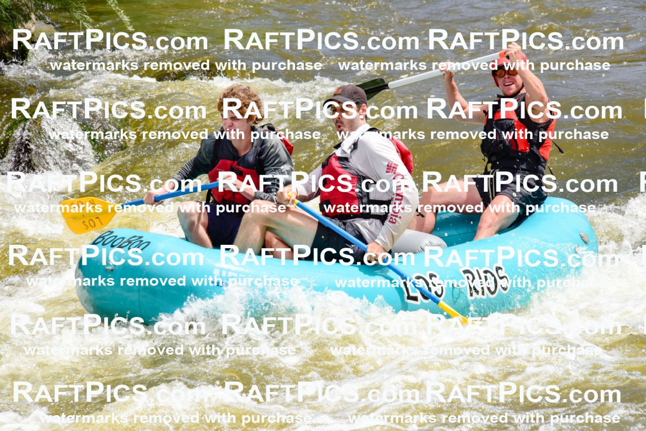 001179-July-3_Los-Rios_RAFT-Pics_Racecourse-AM_LA_Blair_LES7154