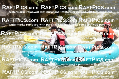 001184-July-3_Los-Rios_RAFT-Pics_Racecourse-AM_LA_Blair_LES7159