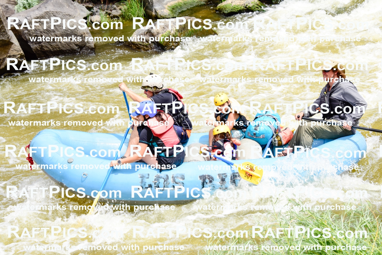 006784_RaftPics_July2_LosRios_Racecourse_PM_LA-Joe_LES7191