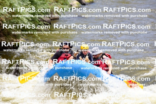 006803_RaftPics_July2_LosRios_Racecourse_PM_LA-John_LES7314