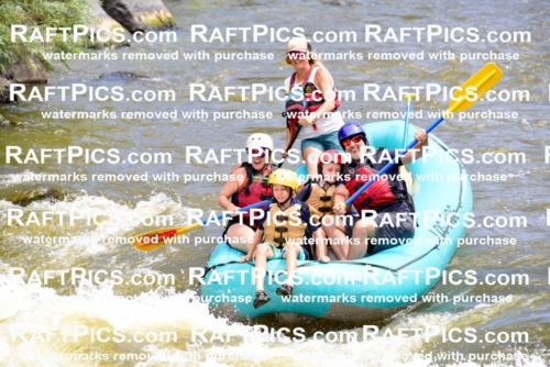 001195-July-3_Los-Rios_RAFT-Pics_Racecourse-AM_LA_Leslie_LES7244