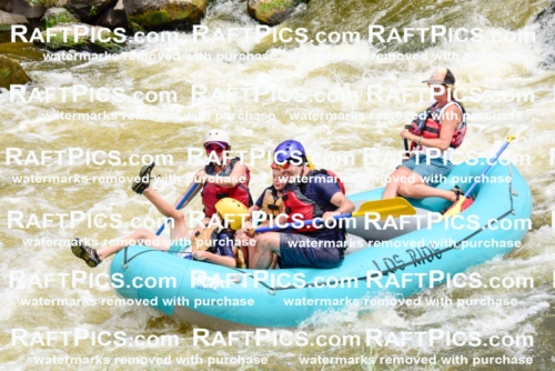 001218-July-3_Los-Rios_RAFT-Pics_Racecourse-AM_LA_Leslie_LES7267