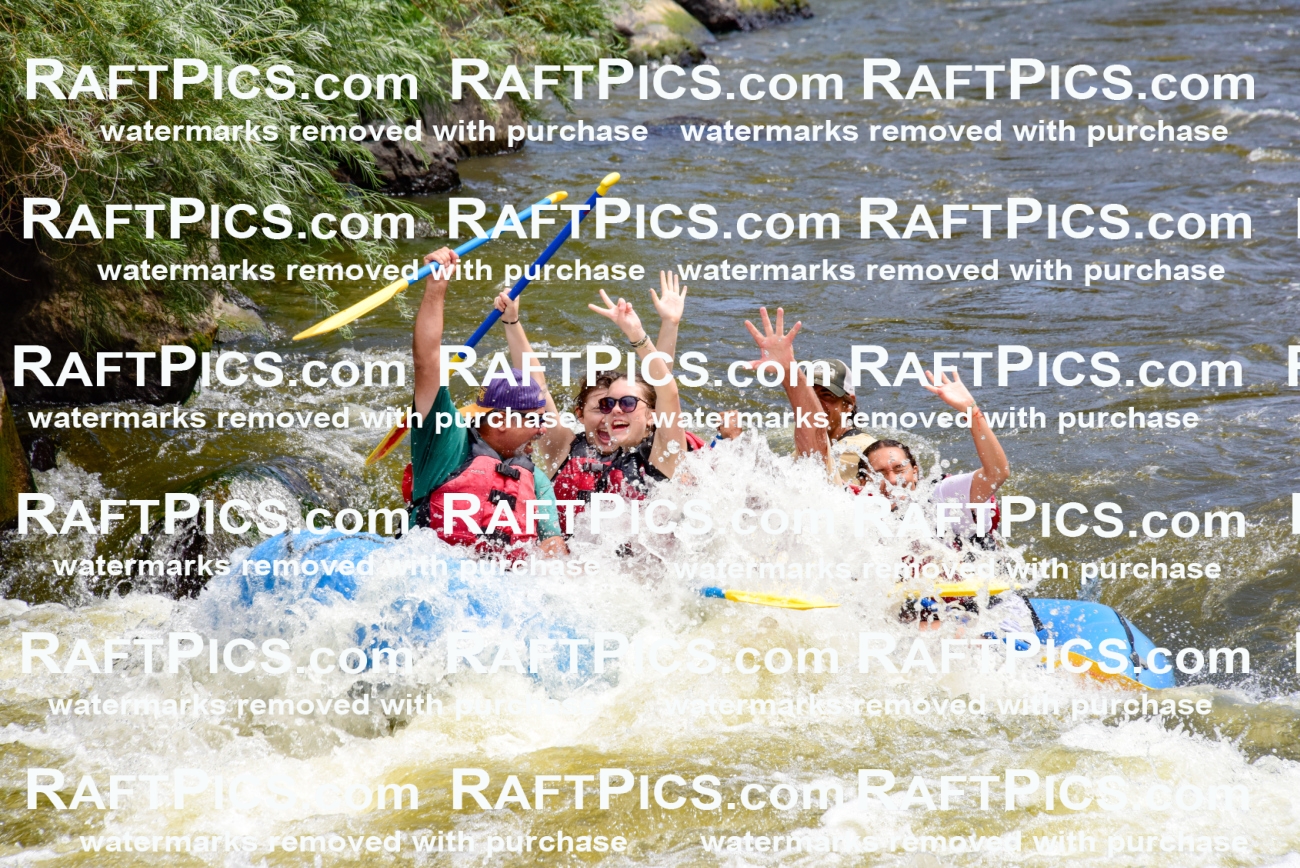 001228-July-3_Los-Rios_RAFT-Pics_Racecourse-AM_LA_Michael_LES7277