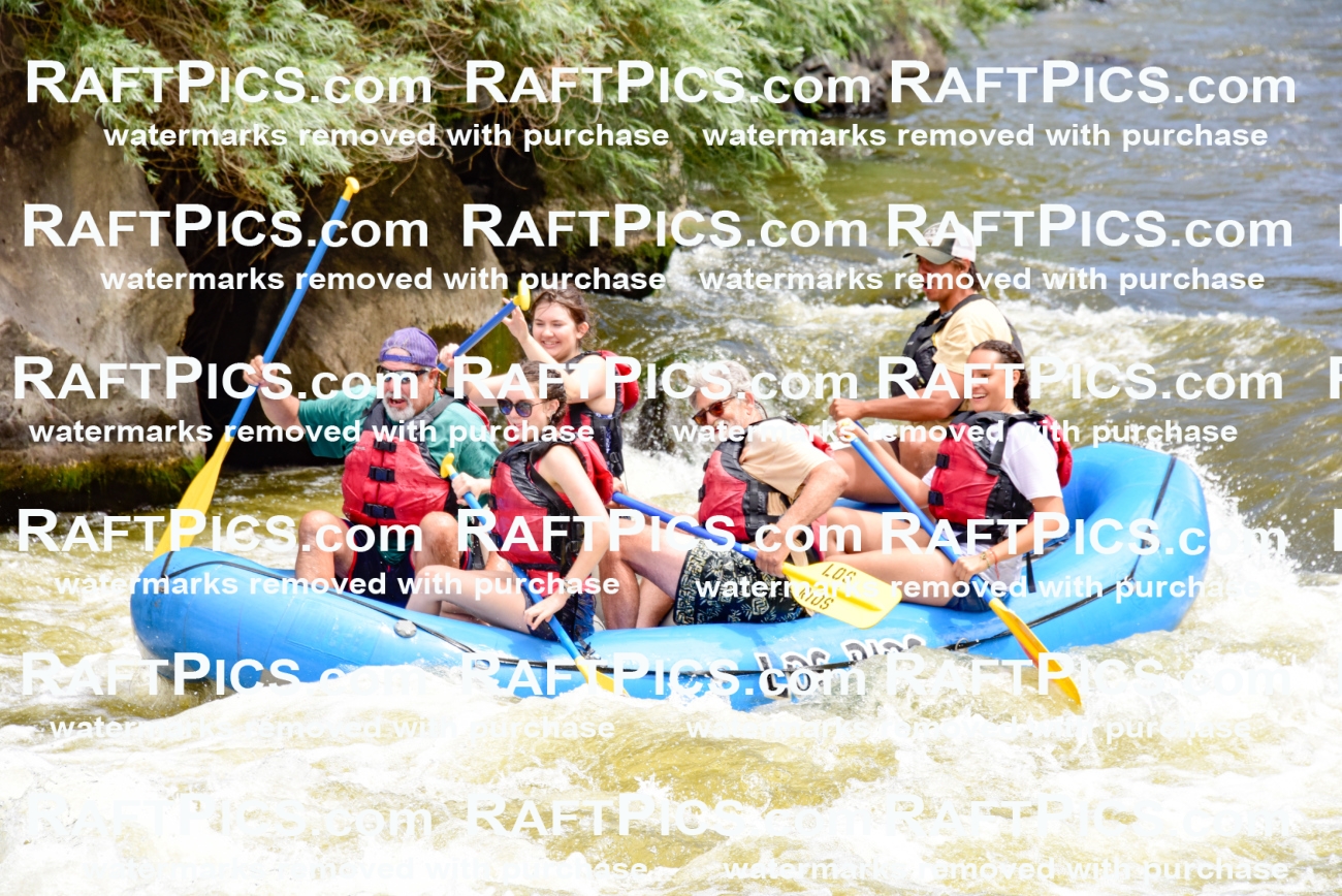 001233-July-3_Los-Rios_RAFT-Pics_Racecourse-AM_LA_Michael_LES7282