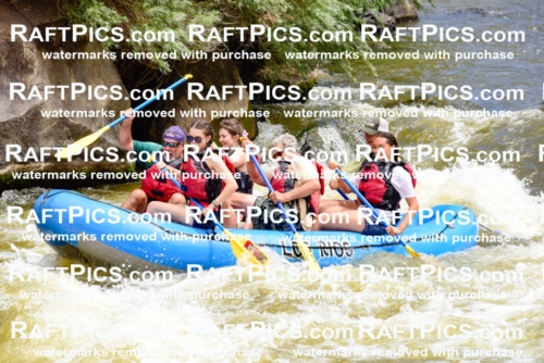 001234-July-3_Los-Rios_RAFT-Pics_Racecourse-AM_LA_Michael_LES7283