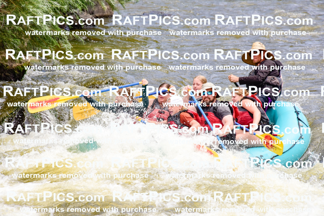 001264-July-3_Los-Rios_RAFT-Pics_Racecourse-AM_LA_Nate_LES7380