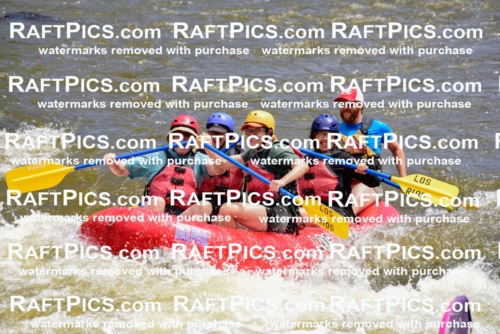 006837_RaftPics_July2_LosRios_Racecourse_PM_LA-Wade_LES7196