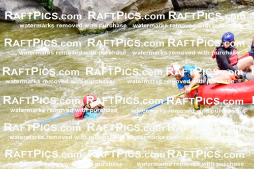 006868_RaftPics_July2_LosRios_Racecourse_PM_LA-Wade_LES7351