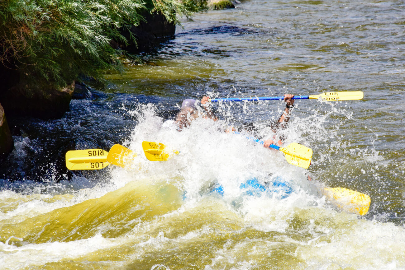 006925_RaftPics_July2_LosRios_Racecourse_PM_LA-Adam_LES7558