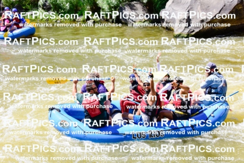 006945_RaftPics_July2_LosRios_Racecourse_PM_LA-Adam_LES7578