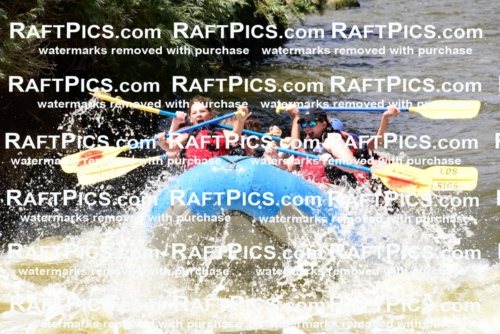 006955_RaftPics_July3_LosRios_Racecourse_PM_LA-John_LES7632