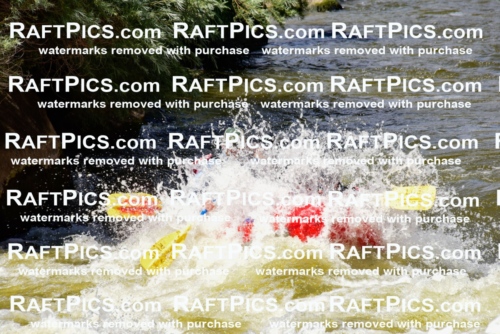 007024_RaftPics_July3_LosRios_Racecourse_PM_LA-Wade_LES7606