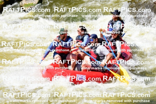 007041_RaftPics_July3_LosRios_Racecourse_PM_LA-Wade_LES7623