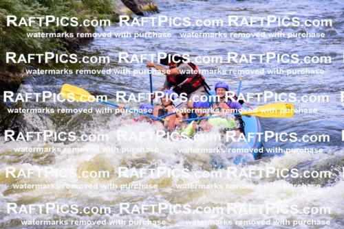 007046_RaftPics_July3_New-Wave_Racecourse_Fullday_LA-Elias_LES7476