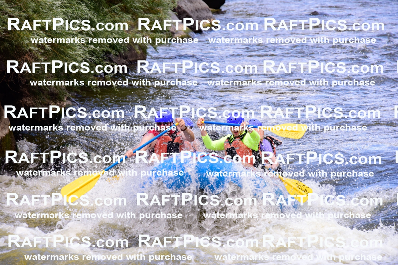 007049_RaftPics_July3_New-Wave_Racecourse_Fullday_LA-Elias_LES7479