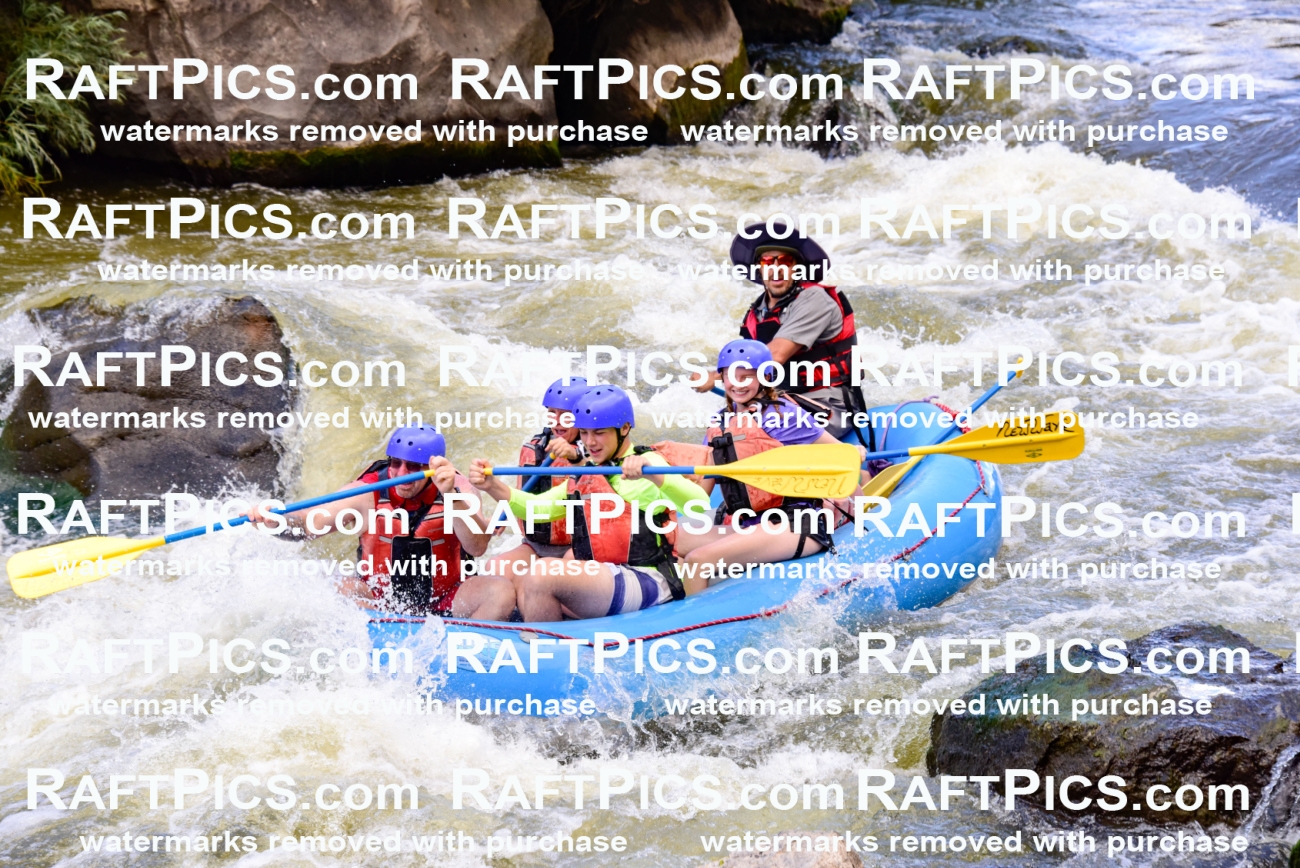 007057_RaftPics_July3_New-Wave_Racecourse_Fullday_LA-Elias_LES7487