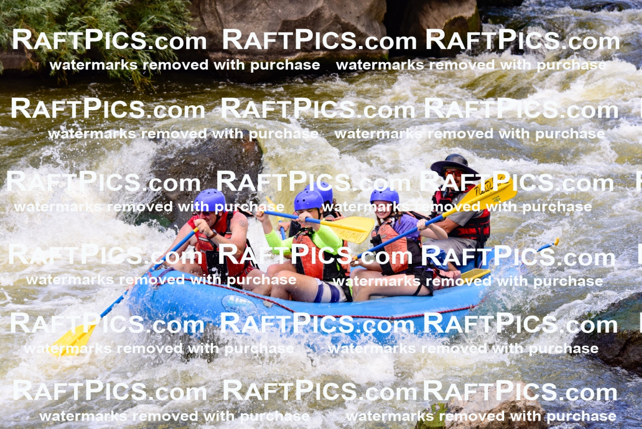 007059_RaftPics_July3_New-Wave_Racecourse_Fullday_LA-Elias_LES7489