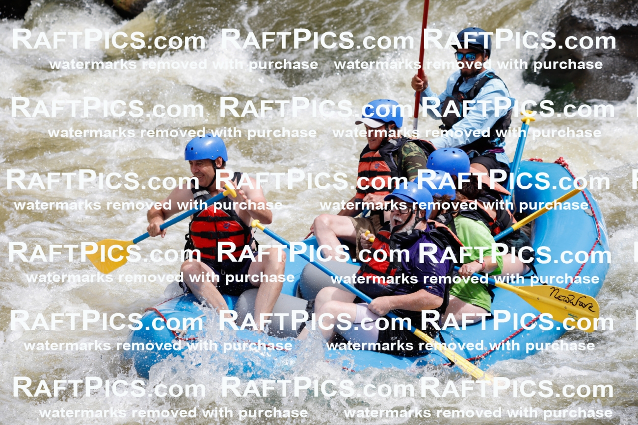 July_3_NewWave_Racecourse_AM_Rui_TC_009535