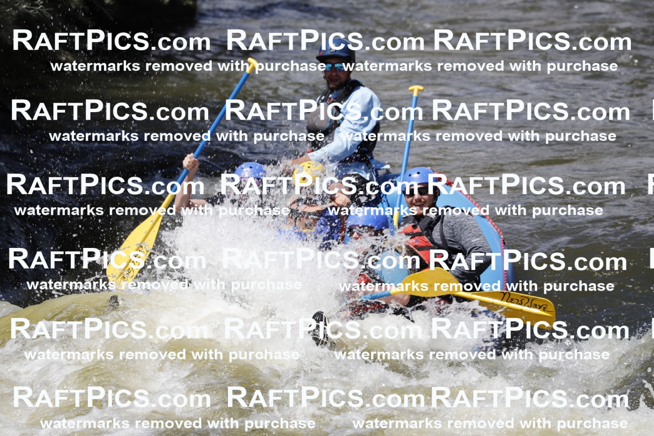 July_3_NewWave_Racecourse_PM_Rui_TC_009696