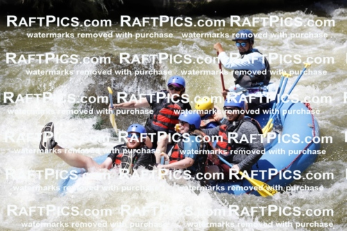 July_3_NewWave_Racecourse_PM_Rui_TC_009718