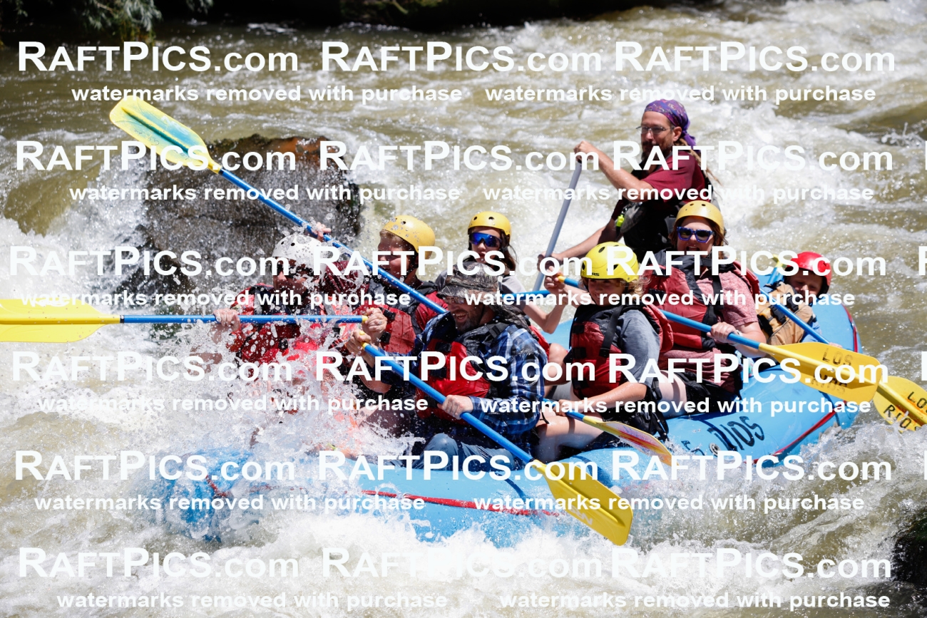 July_4_LosRios_Racecourse_AM_Shay_TC_010641