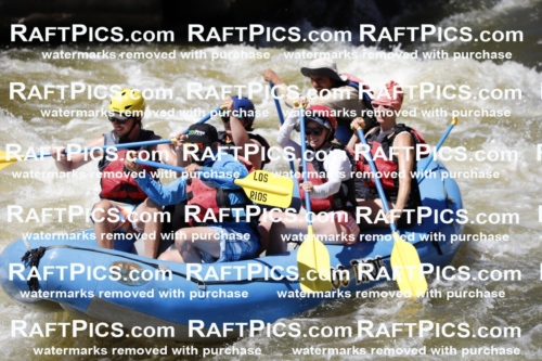 July_4_LosRios_Racecourse_PM_Raul_TC_010769