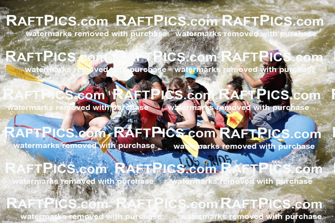 July_4_LosRios_Racecourse_PM_Shay_TC_010805