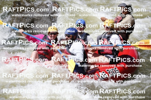 July_5_LosRios_Racecourse_PM_Raul_TC_012066