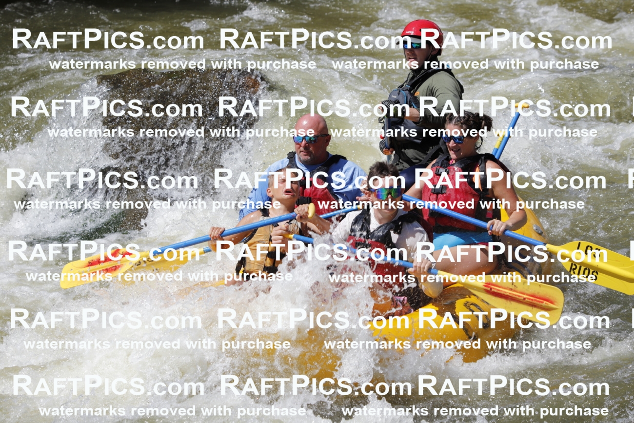 July_5_LosRios_Racecourse_PM_Robby_TC_012094