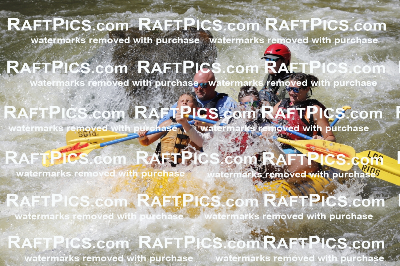 July_5_LosRios_Racecourse_PM_Robby_TC_012095