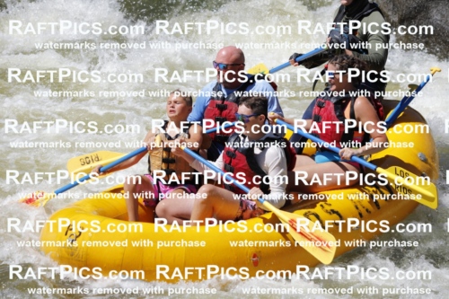 July_5_LosRios_Racecourse_PM_Robby_TC_012100