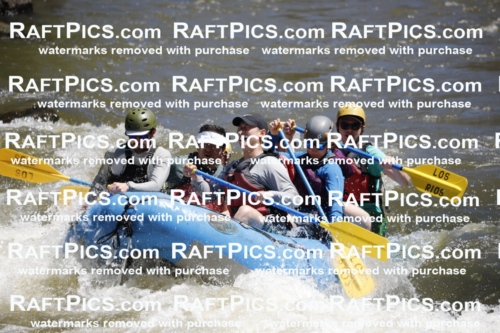 July_6_LosRios_Racecourse_AM_Nick_TC_012742