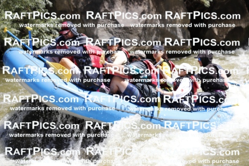 July_6_LosRios_Racecourse_AM_Nathan_TC_013805