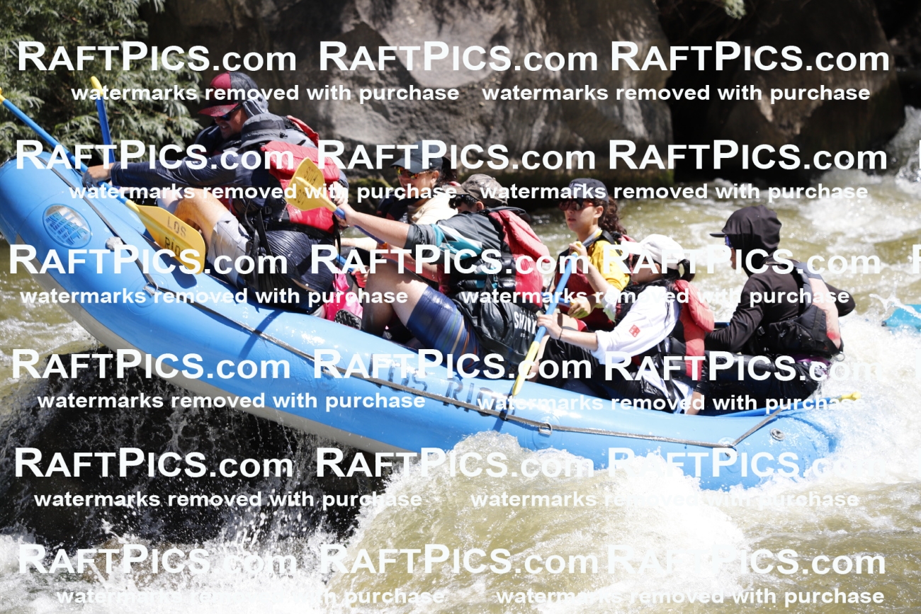 July_6_LosRios_Racecourse_AM_Nathan_TC_013806