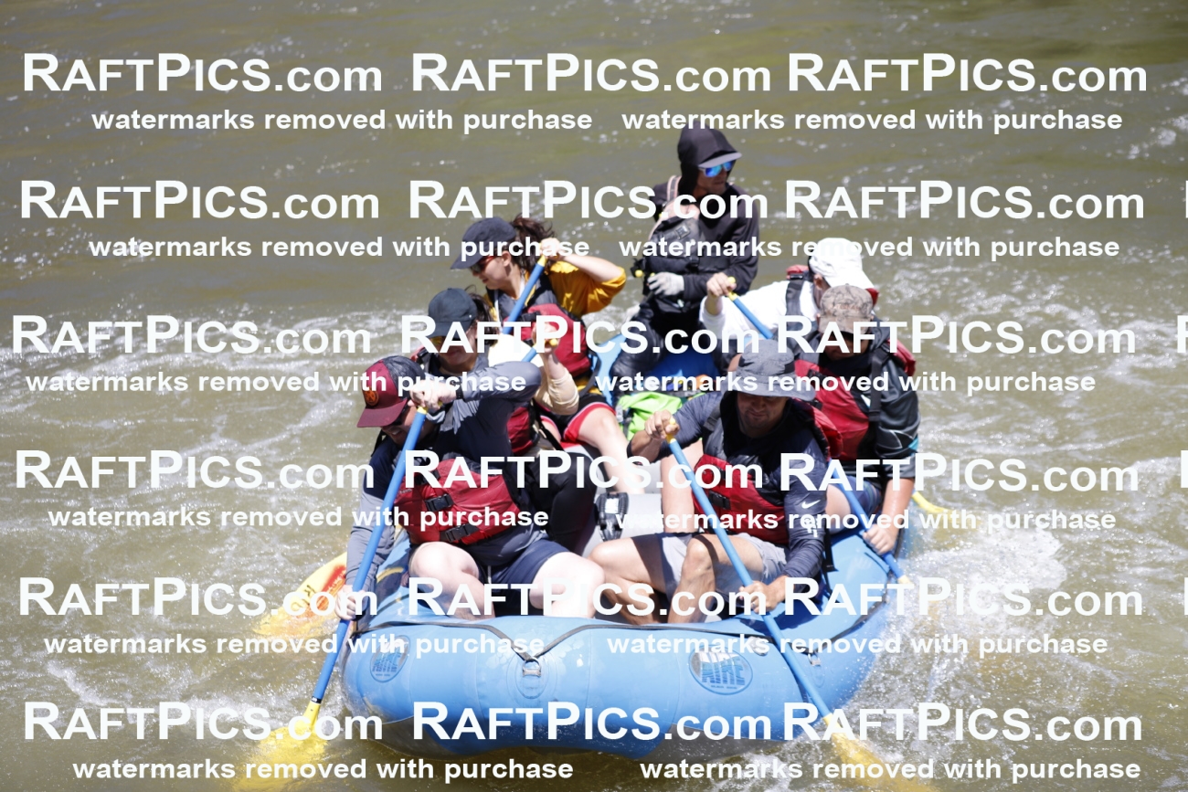 July_6_LosRios_Racecourse_AM_Nathan_TC_013821