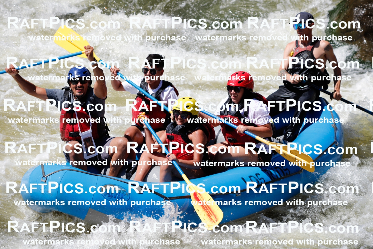 July_6_LosRios_Racecourse_PM_Nathan_TC_013278