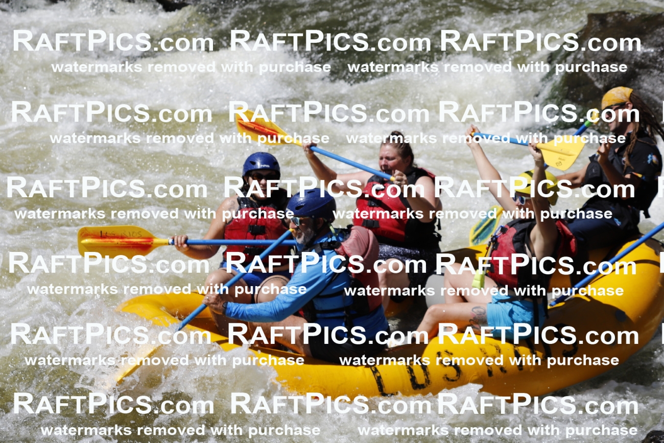 July_6_LosRios_Racecourse_PM_Shay_TC_013194