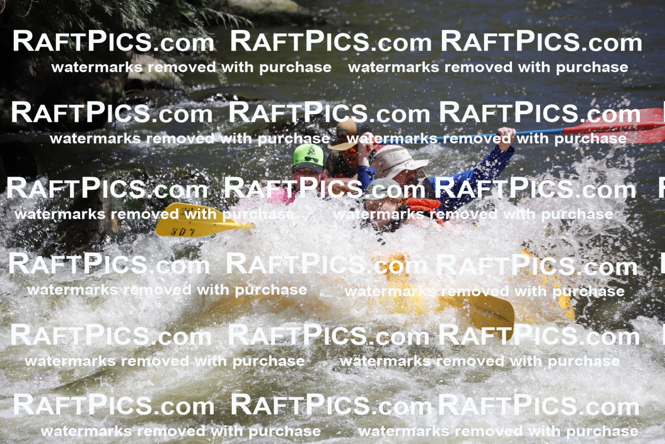 July_7_BigRiver_Racecourse_AM_Paris_TC_013579