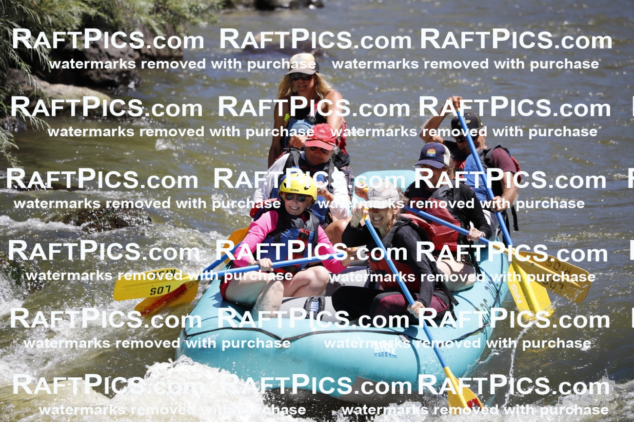 July_7_LosRios_Racecourse_AM_Leslie_TC_013674