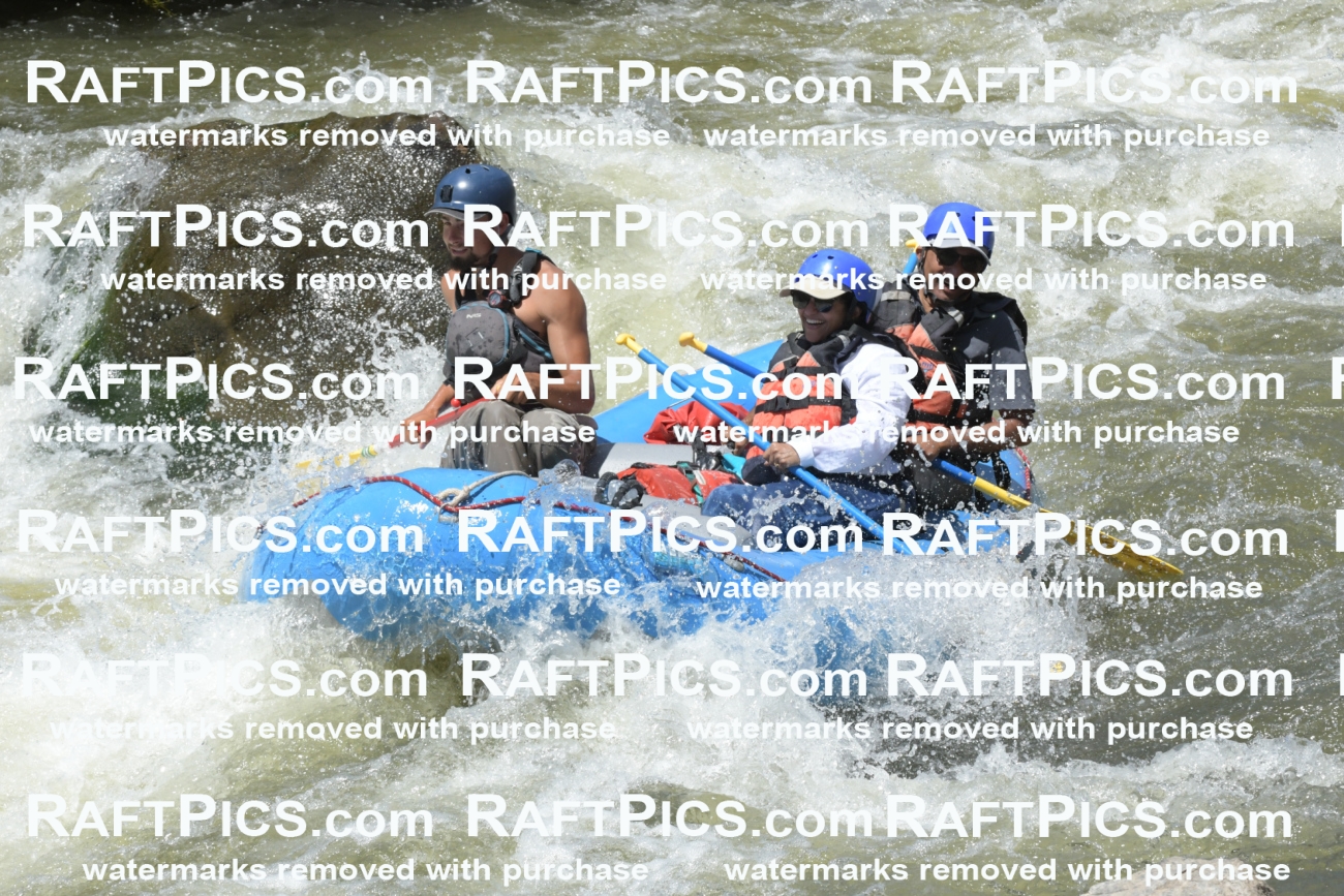 July_7_NewWave_Racecourse_PM_Rui_KV_014094