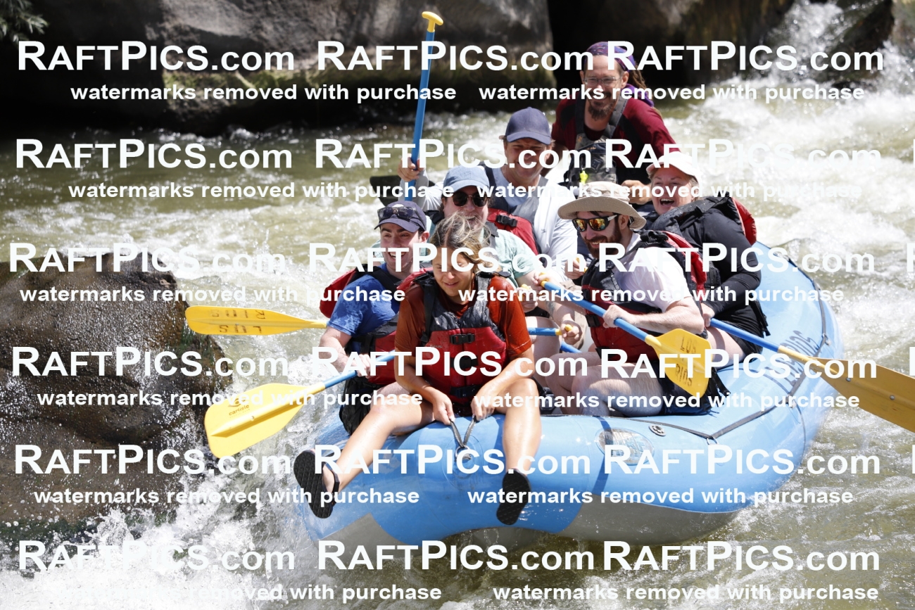 July_8_LosRios_Racecourse_AM_Shay_TC_014630