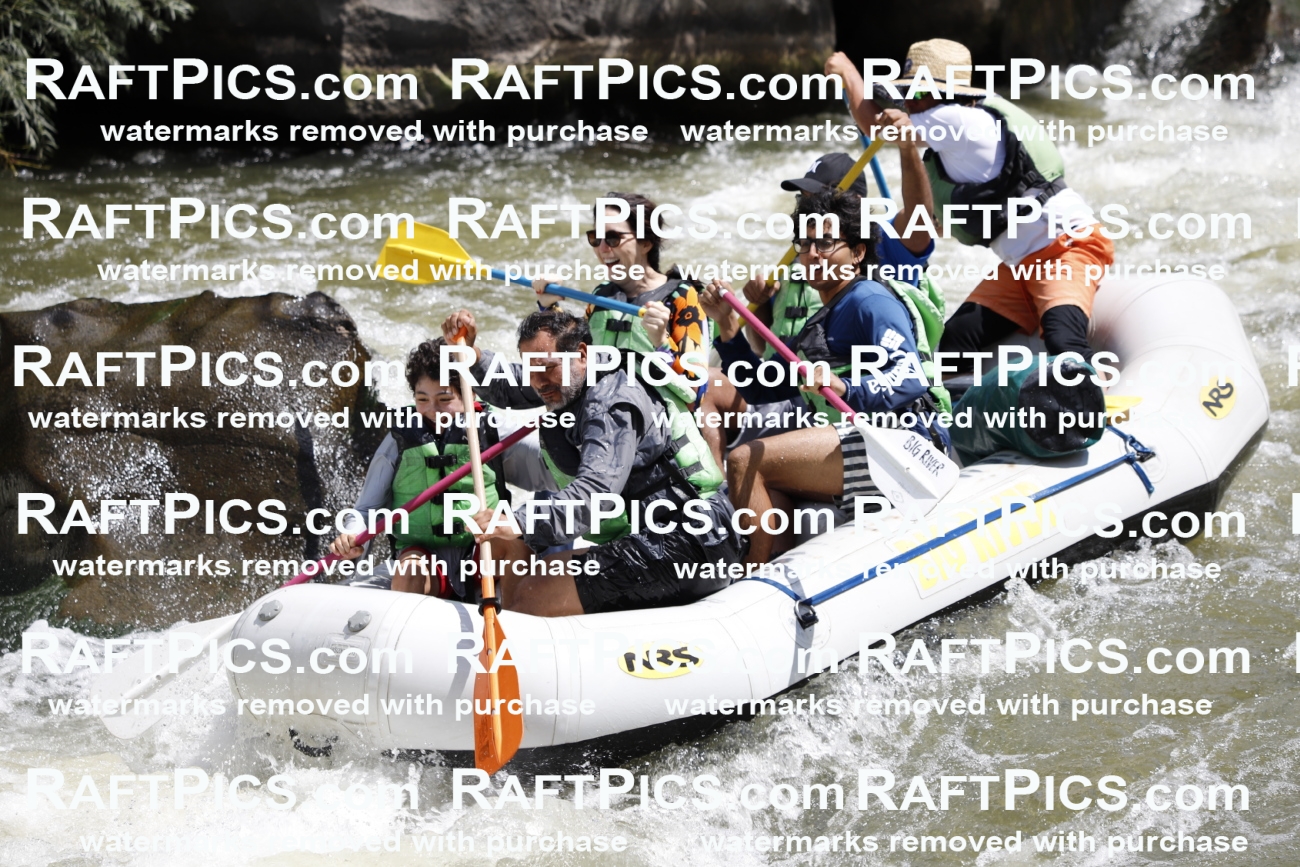 July_8_BigRiver_Racecourse_AM_Paris_TC_014439