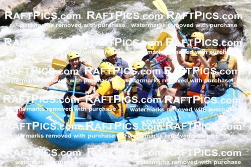 000193_July-9_Kokopelli_RAFT-Pics_Racecourse-AM_BS_Sam