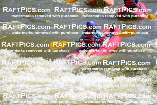 001477-July-9_NEW-WAVE_RAFT-Pics_Racecourse-AM_LA_FUNYAKS-ELIAS_LES7673